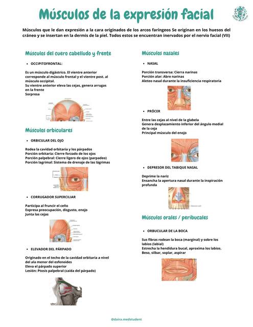 MÚSCULOS DE LA EXPRESIÓN FACIAL