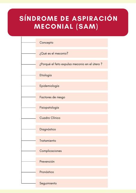 Síndrome de Aspiración Meconial