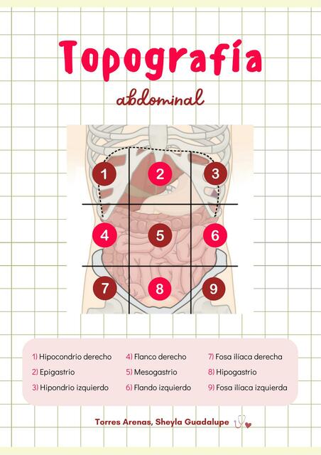 Topografía Abdominal