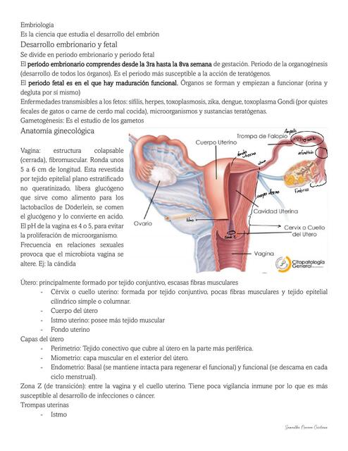 Embriología