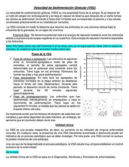 Velocidad de Sedimentación Globular