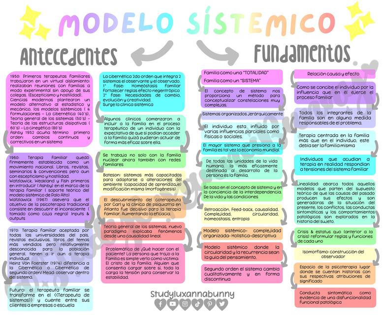 Modelo sistemico mapa