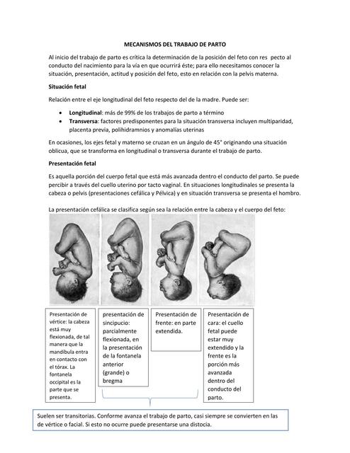 Mecanismos de trabajo de parto y atención del mismo