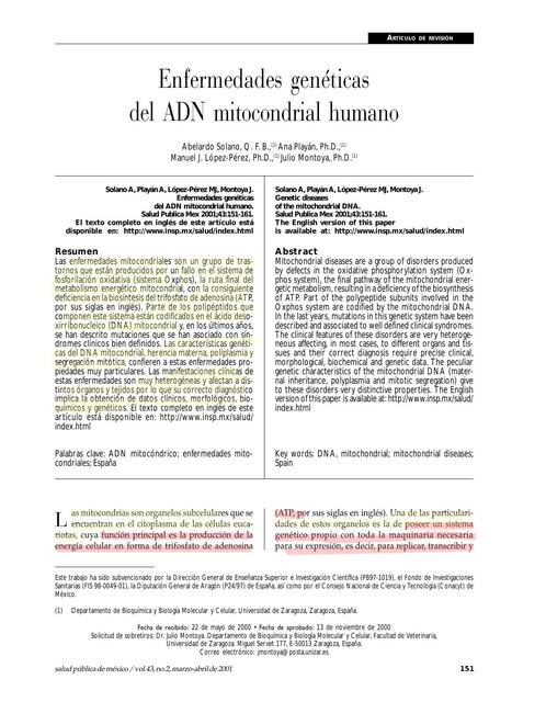 Adn mitocondrial