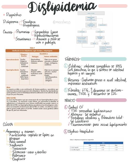 Cardiología resumen