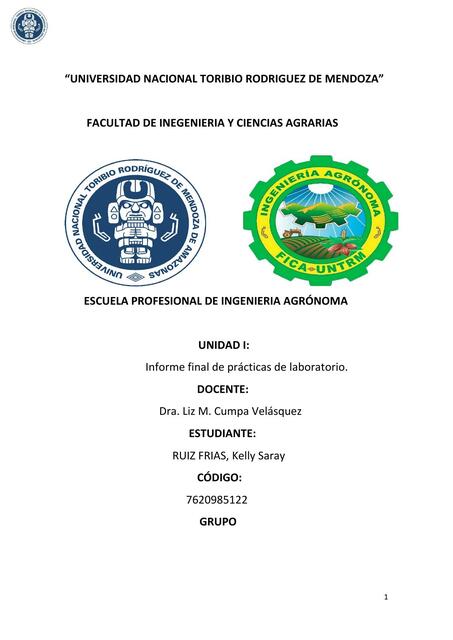 Informe Final de Prácticas de Laboratorio 