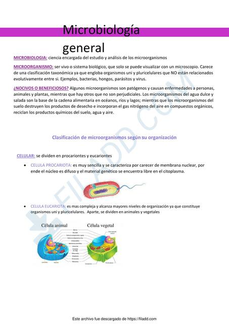 Microbiología General 