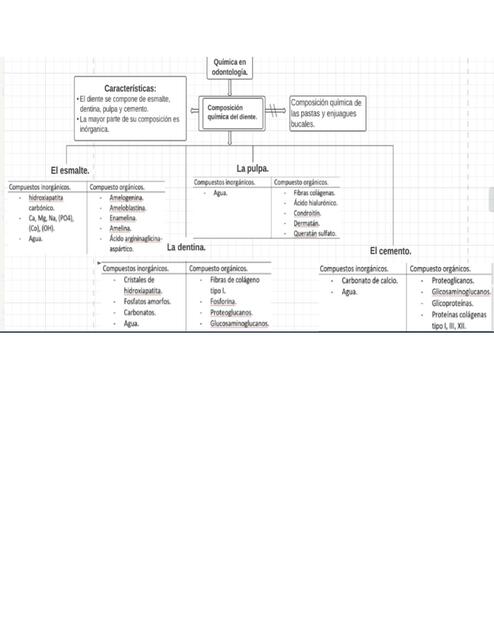 Composición química del diente