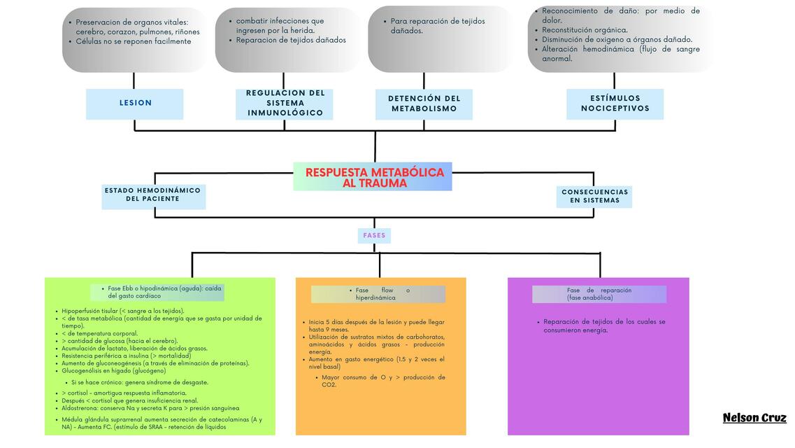 Respuesta metabólica al trauma