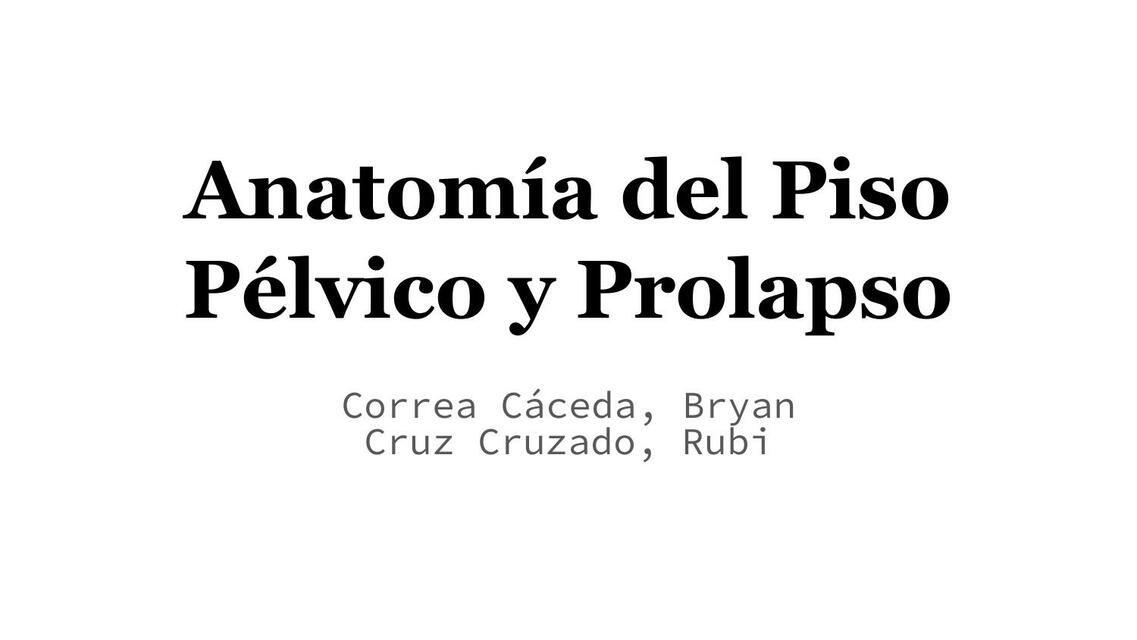 Anatomía del Piso Pélvico y Prolapso