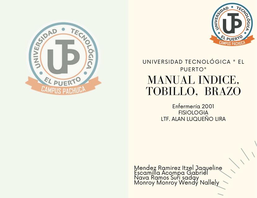 Manual índice Tobillo, Brazo 