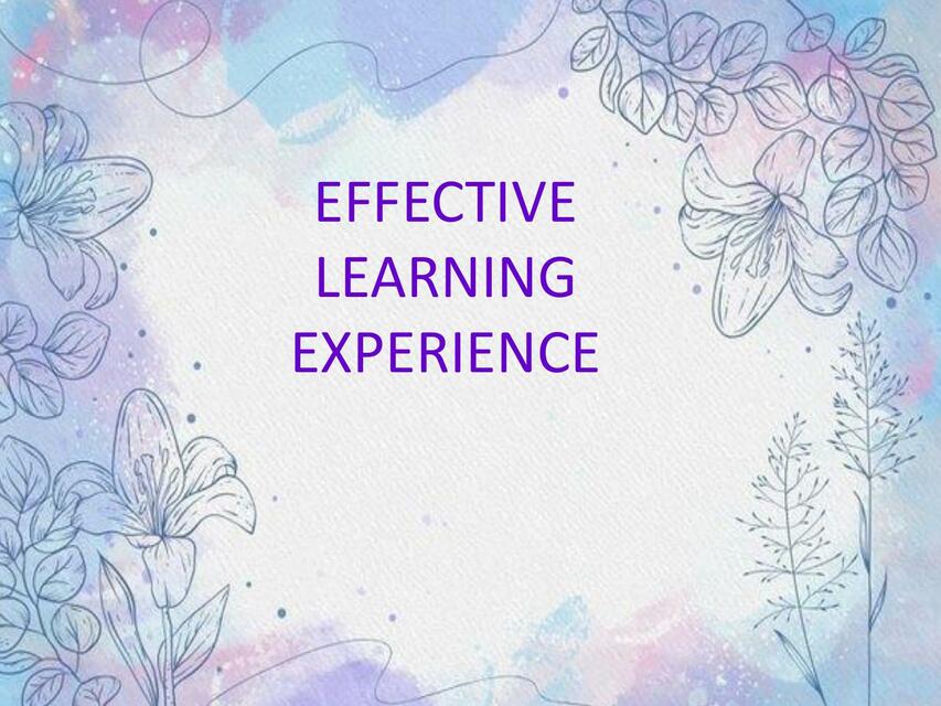 Effective Learning Experience 