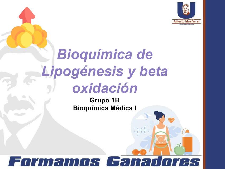 Bioquímica de lipogénesis y beta oxidación 