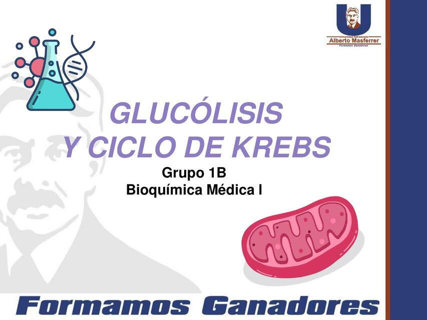 Glucolisis y ciclo de Krebs 