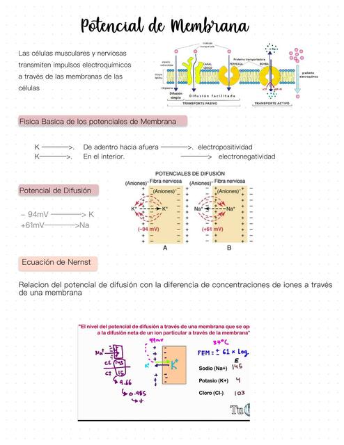 Fisiología