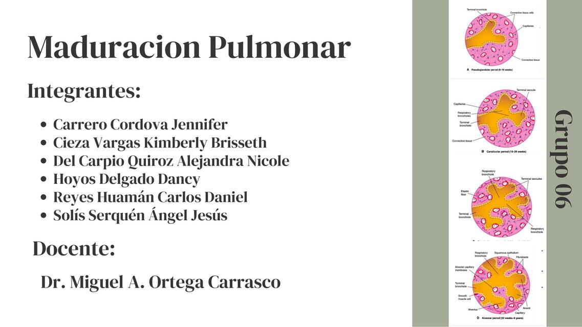 Maduración pulmonar