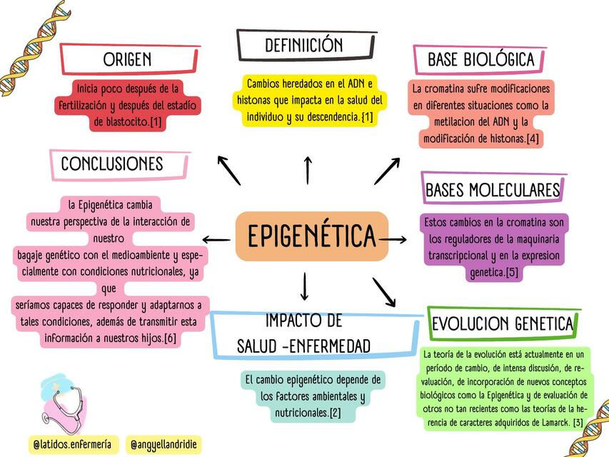 Pequeño resumen de la epigenetica