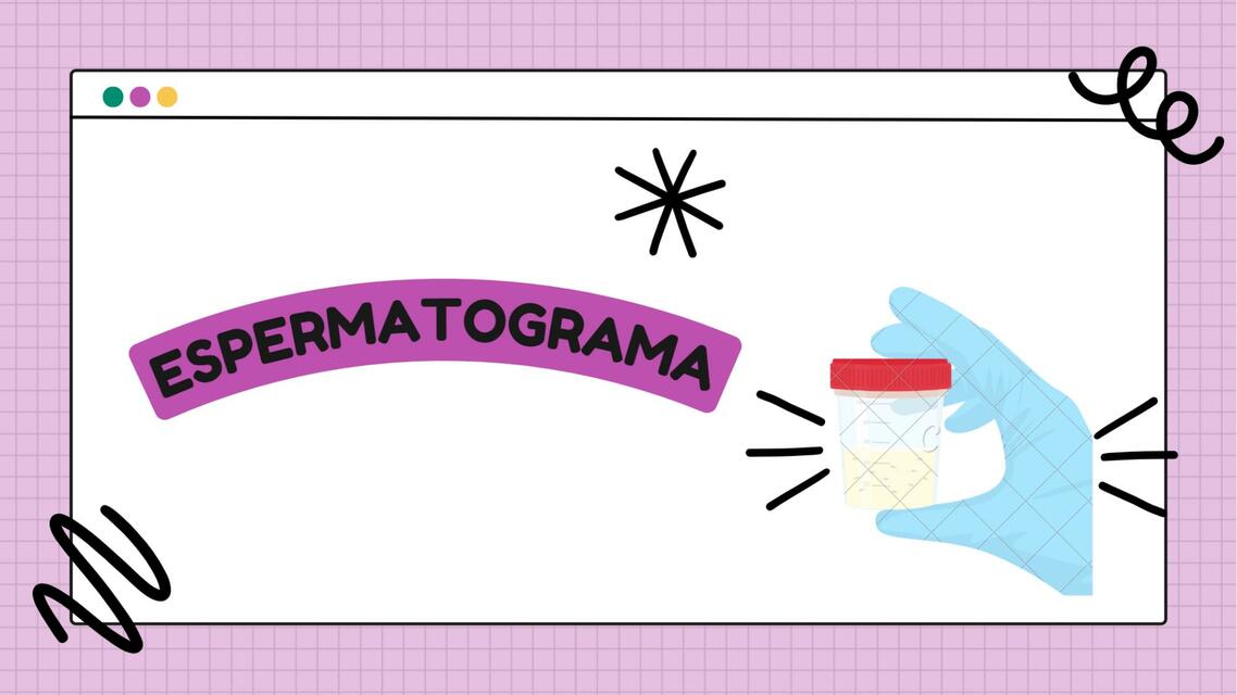 ESPERMATOGRAMA