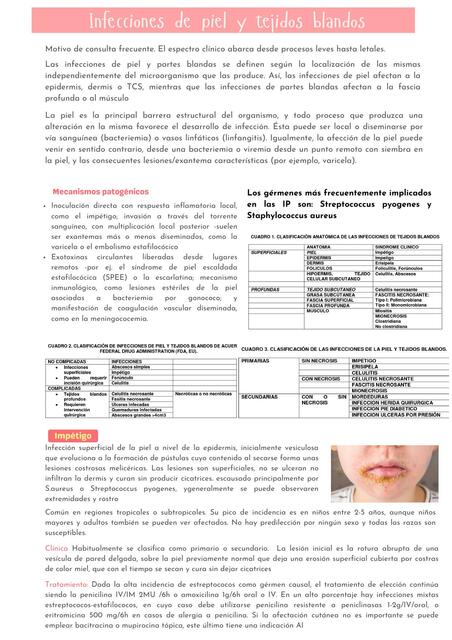 Infecciones de piel y tejidos blandos