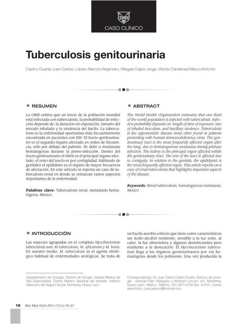 Tuberculosis Genitourinaria 