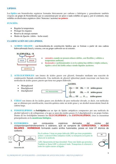 Bioquímica 