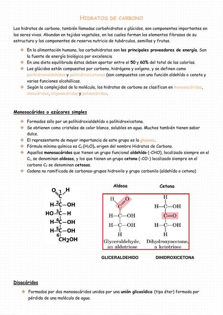 Hidratos de carbono 