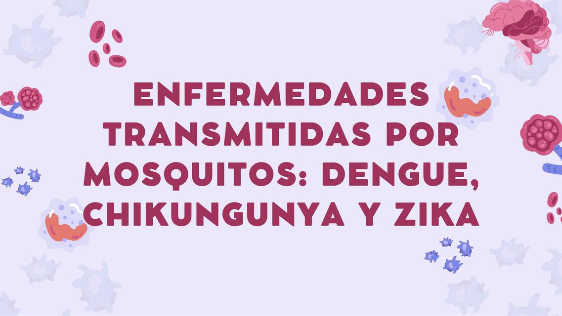 Dengue, Zika y Chikungunya