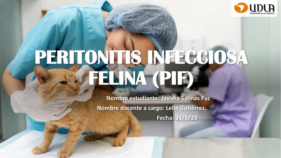 Peritonitis Infecciosa Felina