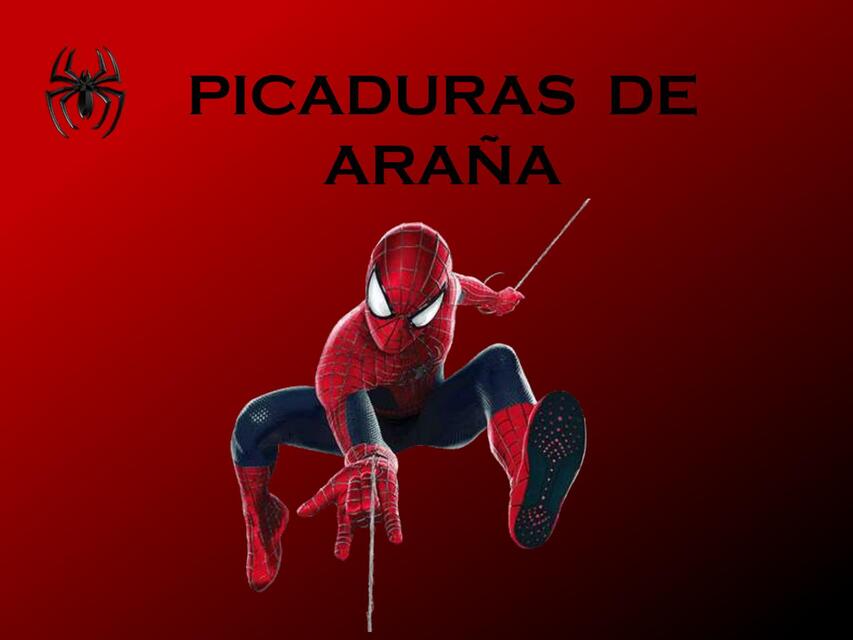 Picaduras de araña 