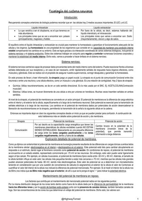 Fisiología del Sistema Nervioso