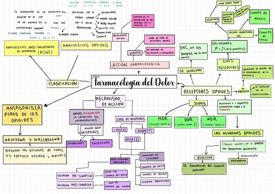 Mapa conceptual de Farmacia