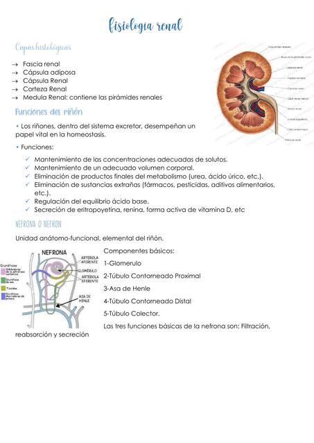 Fisiologa renal 