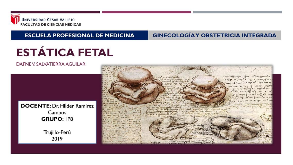 ESTÁTICA FETAL