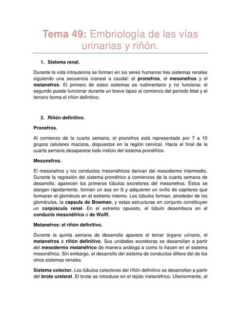 Tema 49 Embriología de las vías urinarias y riñón