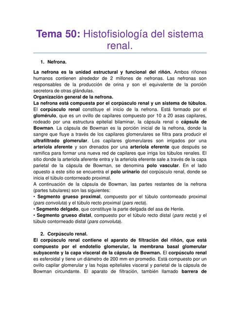 Tema 50 Histofisiología del sistema renal