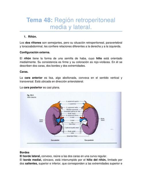 Tema 48 Región retroperitoneal media y lateral