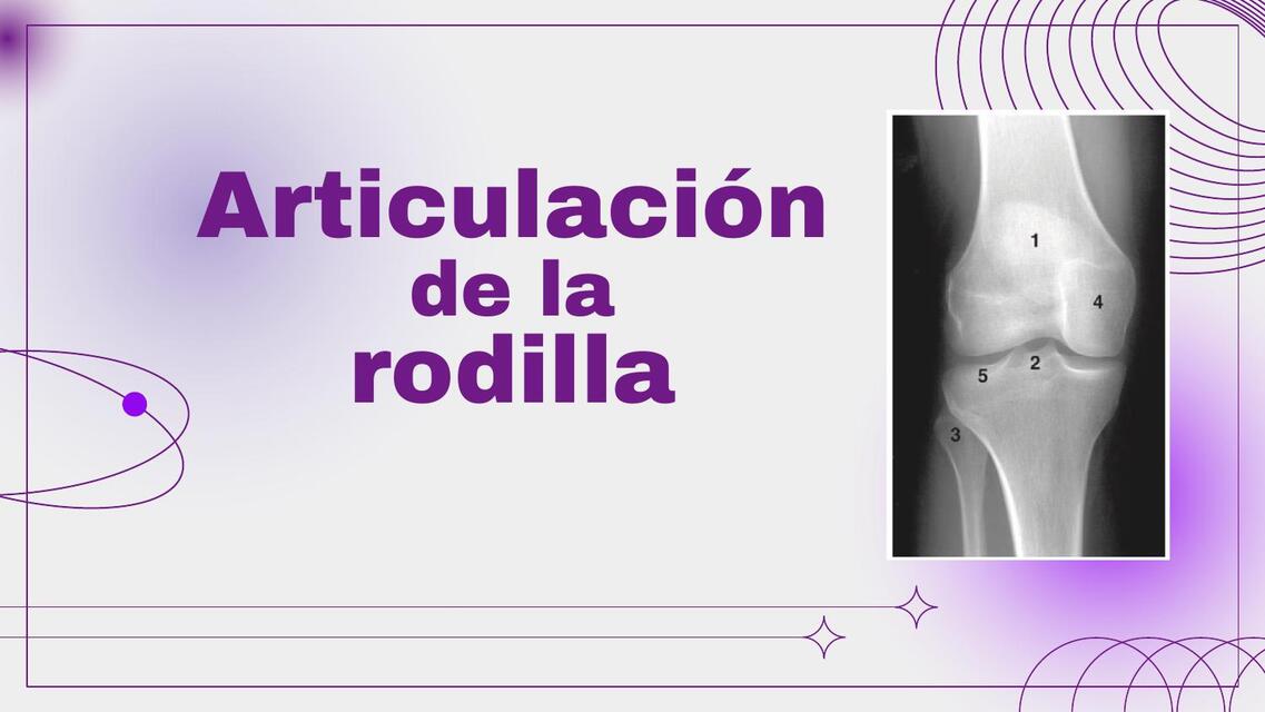 Articulación de la rodilla