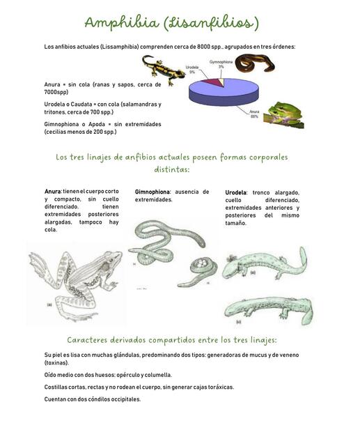 Apunte zoología - Amphibia