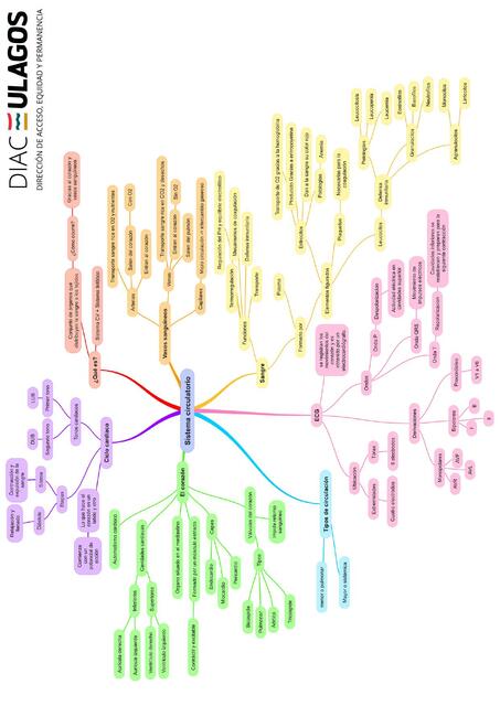 Sistema circulatorio 