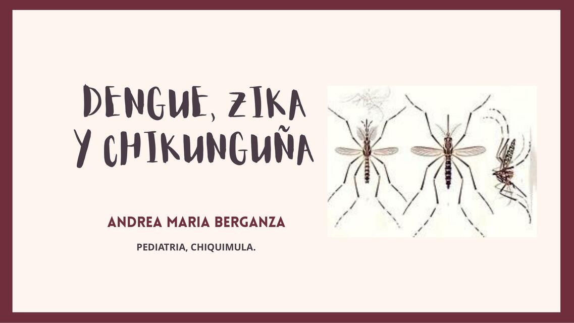 Dengue, Zika y Chikunguña 