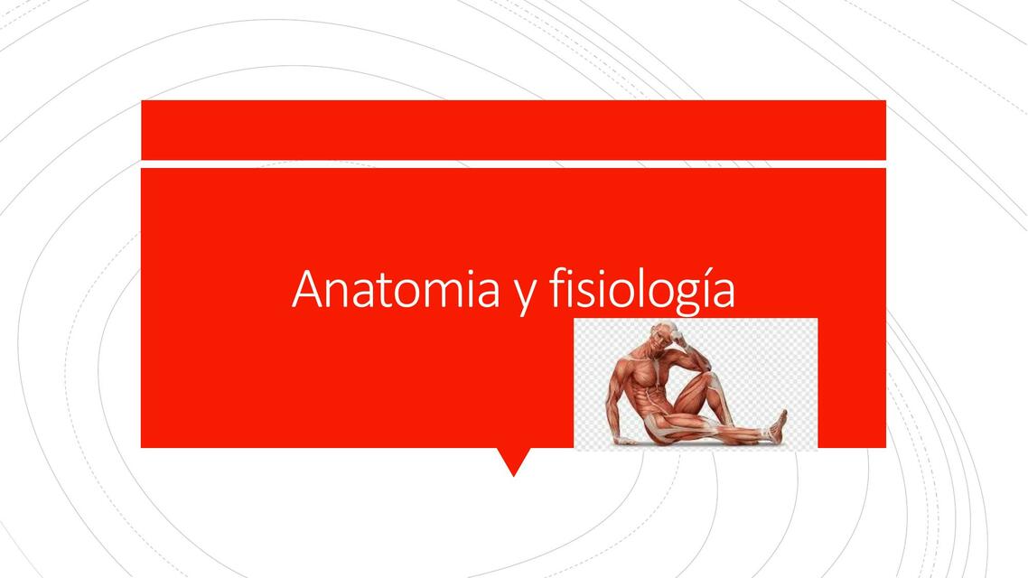 Anatomia y fisiología