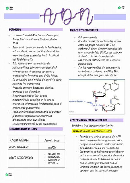 EL ADN