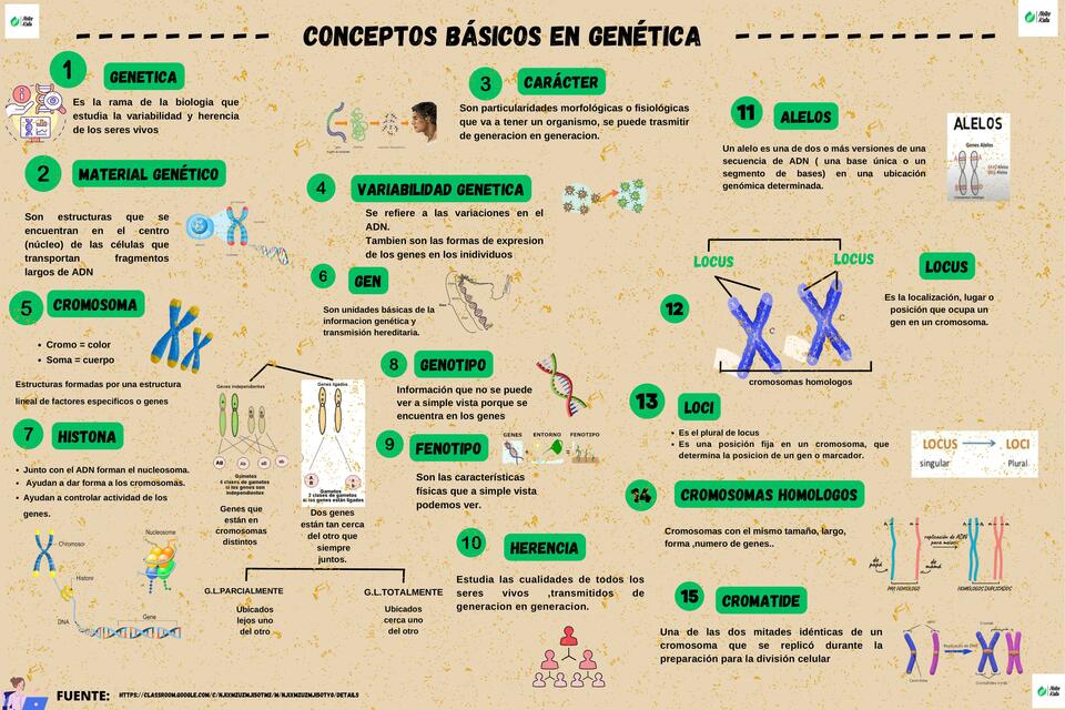 CONCEPTOS BASICOS DE GENETICA VEGETAL