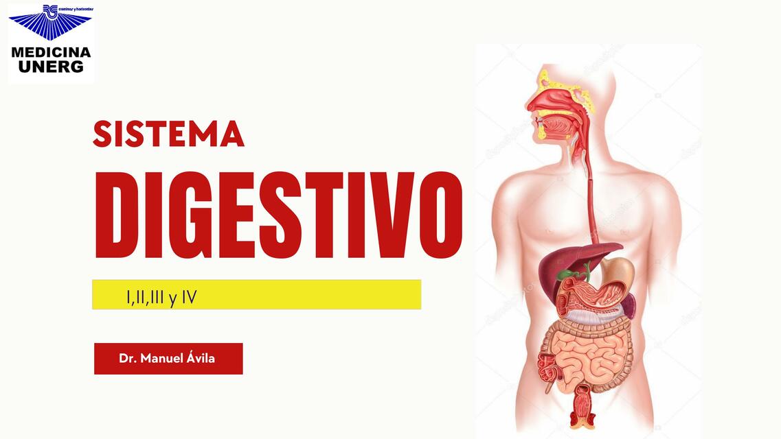 Sistema Digestivo Histología