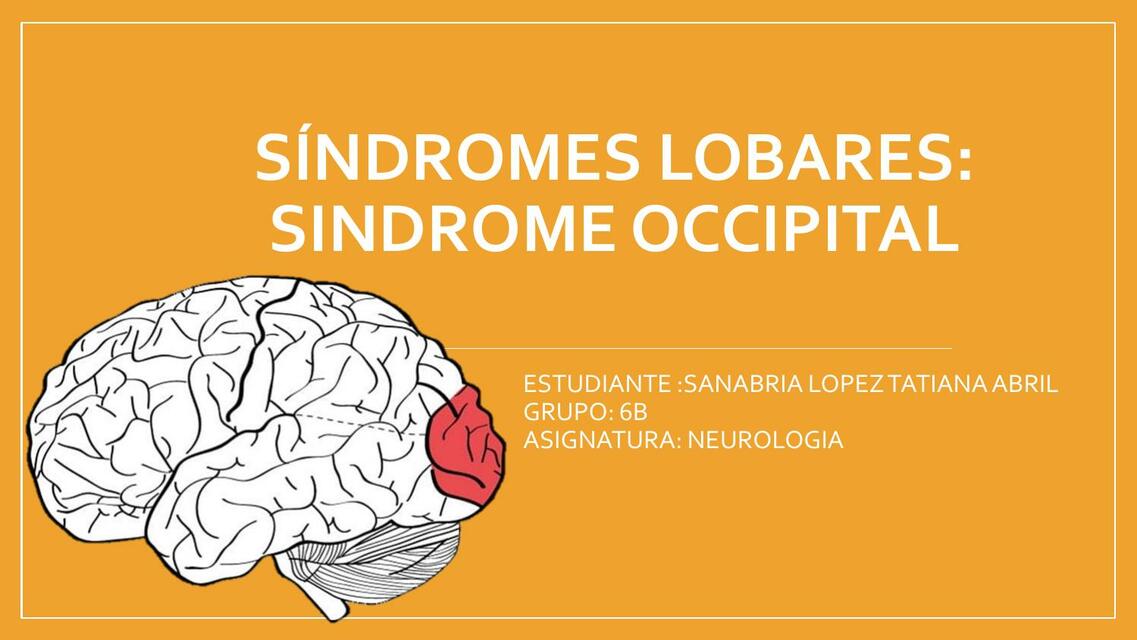 sindrome occipital