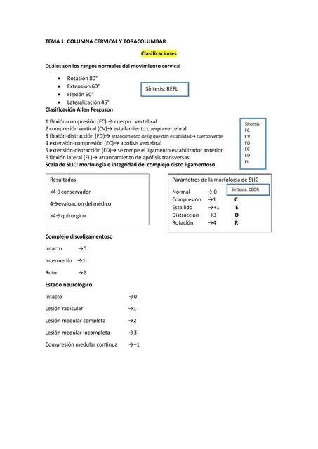 Tema 1: Columna Cervical y Toracolumbar 