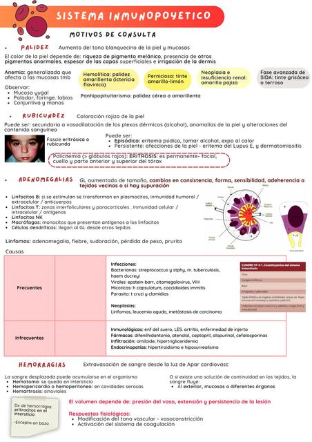 Sistema inmunopoyetico y su exploración