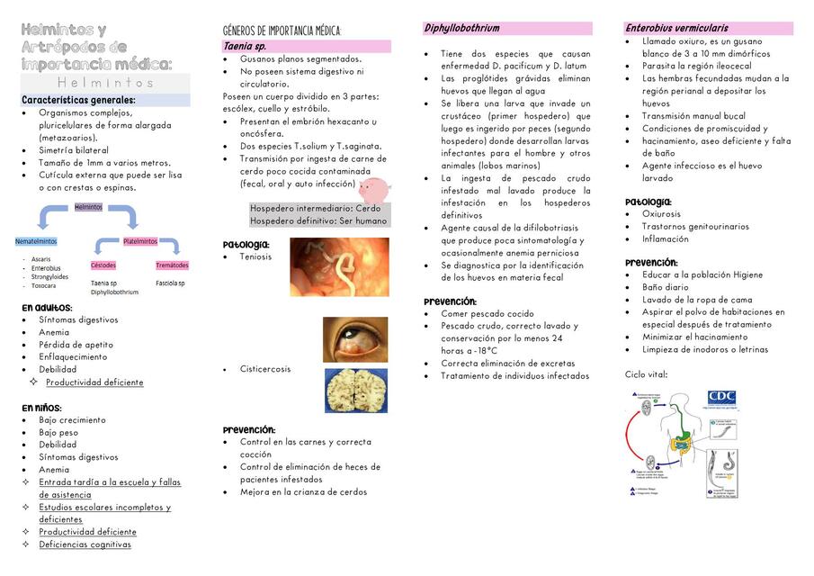 Helmintos y Artrópodos de importancia médica 