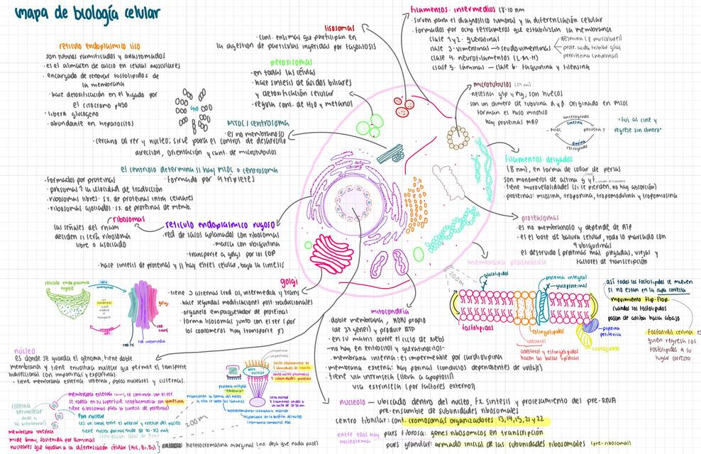 Biología celular