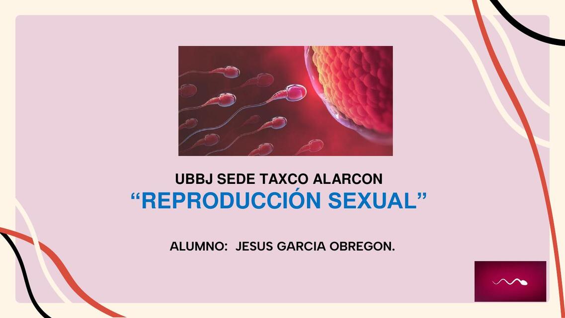 Reproducción Sexual 